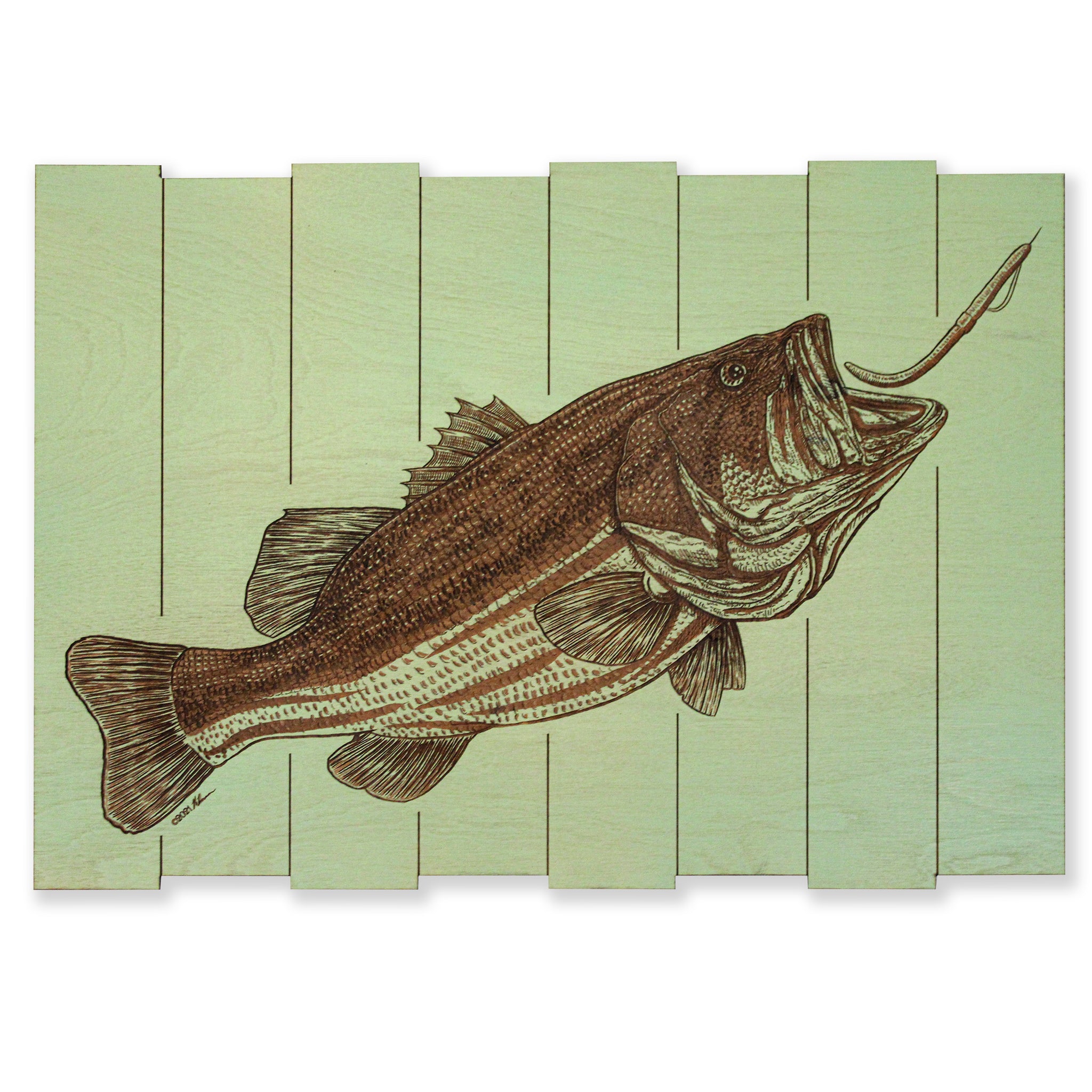 Wall Panel Art - Solid Catch Bass